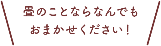 畳のことならなんでもおまかせください